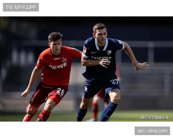 霍芬海姆60%控球负于美因茨 阿斯拉尼组织核心遭遇针对性限制