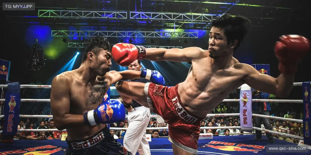 💡 AI算法智能调节画质与流畅度